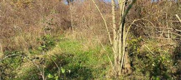 18 rooms Apartment in Monte Cerignone, Italy No. 97531 8