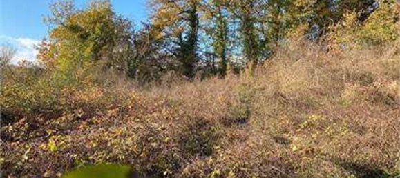 18 rooms Apartment in Monte Cerignone, Italy No. 97531 6