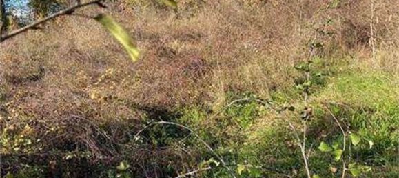 18 rooms Apartment in Monte Cerignone, Italy No. 97531 7