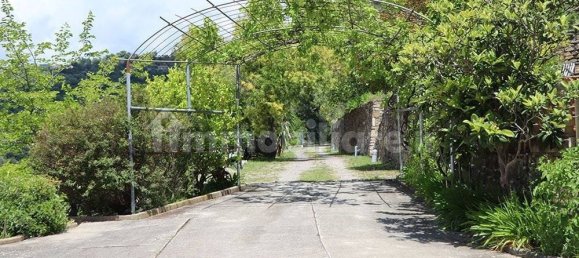 Villa T4 em Dolceacqua, Italy N.º 223515 32