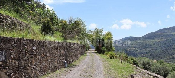 Villa T4 em Dolceacqua, Italy N.º 223515 29
