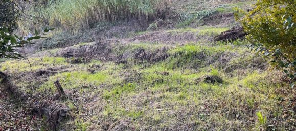 5-Zimmer Haus in Canelli, Italy, Nr. 101882 35