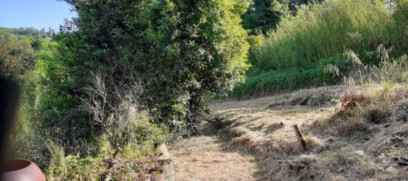 5-Zimmer Haus in Canelli, Italy, Nr. 101882 50