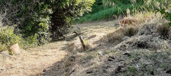 5-Zimmer Haus in Canelli, Italy, Nr. 101882 49