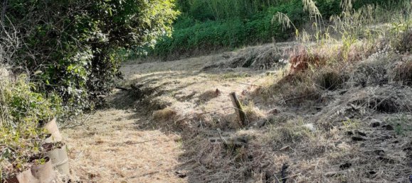 5-Zimmer Haus in Canelli, Italy, Nr. 101882 48