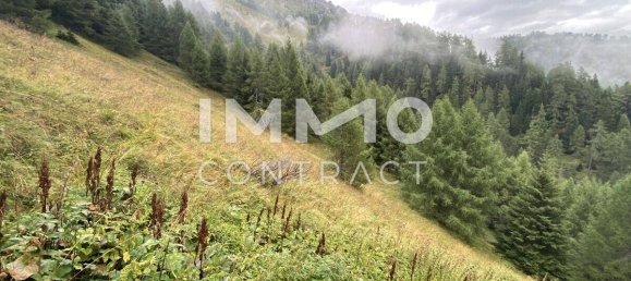 351594m² Land in Kals am Grossglockner, Austria No. 213055 4