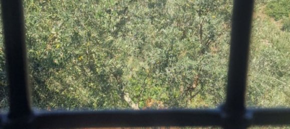 3غرفة منزل في Fontana Liri, Italy رقم 178410 14