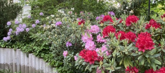 6 bedrooms Townhouse in Schmargendorf, Germany No. 348896 24