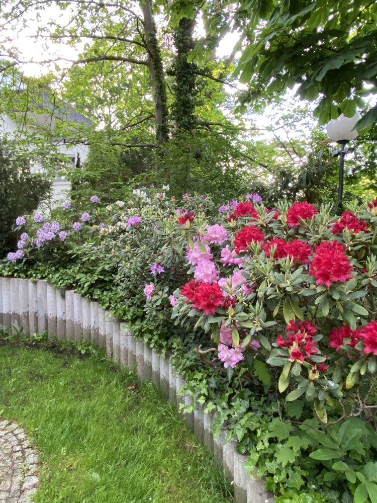 6 bedrooms Townhouse in Schmargendorf, Germany No. 348896