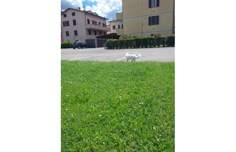 2 bedrooms House in Castel Bolognese, Italy No. 253224