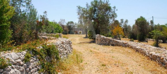 5 bedrooms House in Salve, Italy No. 323630 33