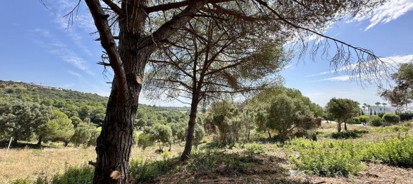  Land in Cadiz, Spain No. 273766 6