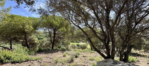  Land in Cadiz, Spain No. 273766 2