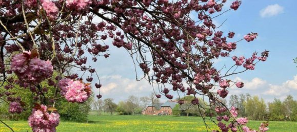 4-salle Maison à Wesermarsch, Germany No. 230770 17
