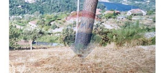 2 bedrooms House in Marco de Canaveses, Portugal No. 184001 6