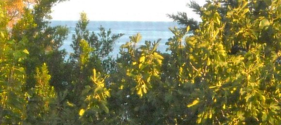 3 Schlafzimmer Property in Arcadia, Greece, Nr. 7810 15