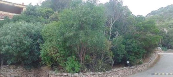 6 rooms Apartment in Arzachena, Italy No. 13666 18