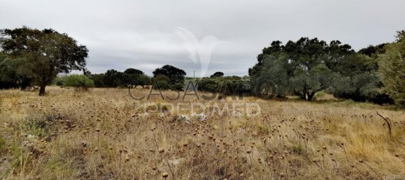  Land in Quarteira, Portugal No. 190595 15