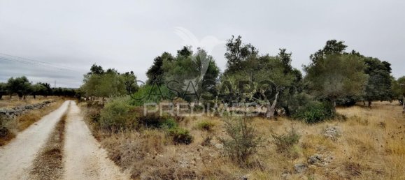  Land in Quarteira, Portugal No. 190595 3