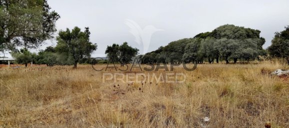 Land in Quarteira, Portugal No. 190595 21