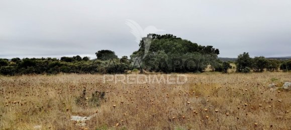  Land in Quarteira, Portugal No. 190595 17
