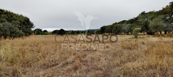  Land in Quarteira, Portugal No. 190595 11