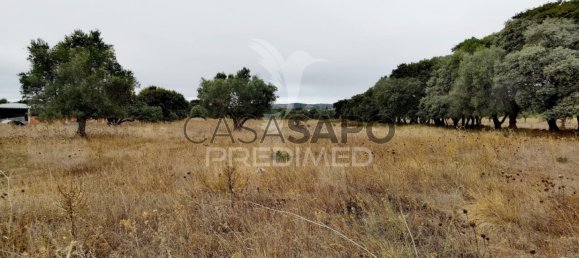  Land in Quarteira, Portugal No. 190595 4
