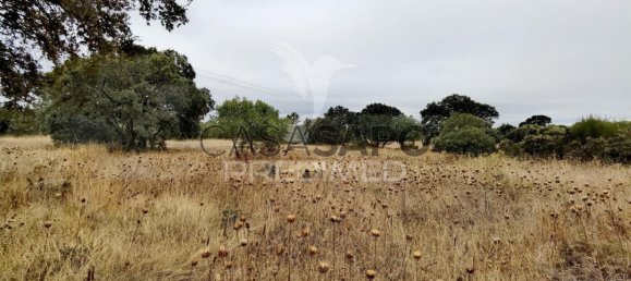  Land in Quarteira, Portugal No. 190595 20