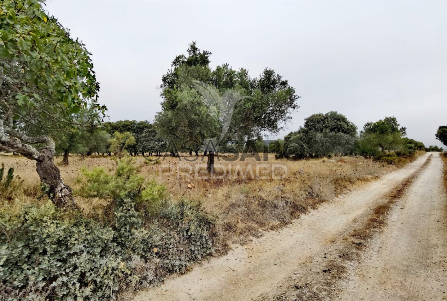  Land in Quarteira, Portugal No. 190595