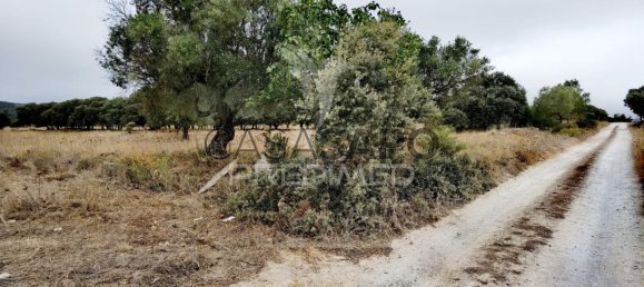  Land in Quarteira, Portugal No. 190595 7