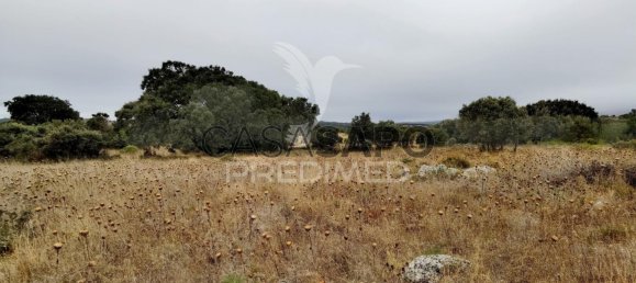 Land in Quarteira, Portugal No. 190595 16