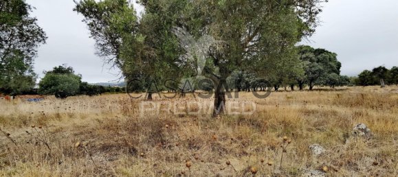  Land in Quarteira, Portugal No. 190595 2