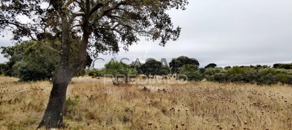  Land in Quarteira, Portugal No. 190595 18