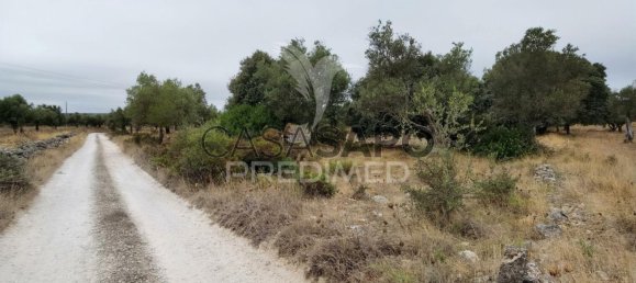  Land in Quarteira, Portugal No. 190595 6