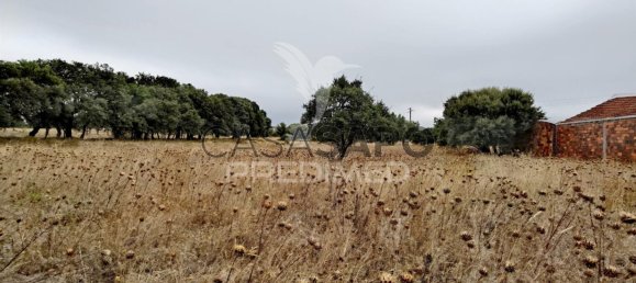  Land in Quarteira, Portugal No. 190595 14