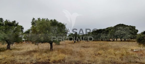  Land in Quarteira, Portugal No. 190595 9