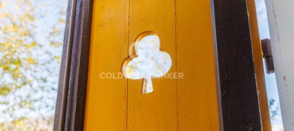 15 rooms Villa in Avigliana, Italy No. 232984 26