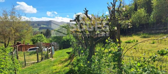8 rooms Villa in Pelago, Italy No. 71291 16