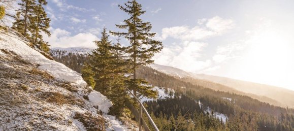 2 غرف نوم منزل في Rennweg am Katschberg, Austria رقم 157155 19