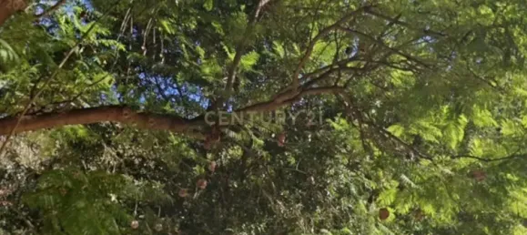 6 bedrooms House in Campanillas, Spain No. 186216 5