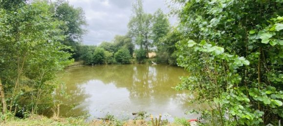 3 bedrooms House in La Dominelais, France No. 313299 7