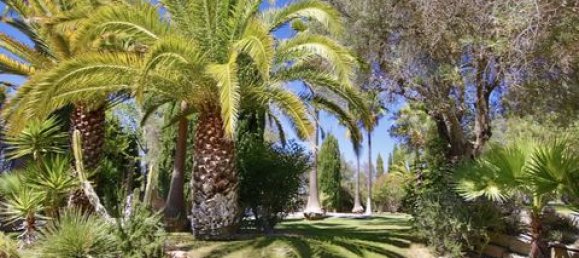 5 Schlafzimmer Villa in Almancil, Portugal, Nr. 150953 6