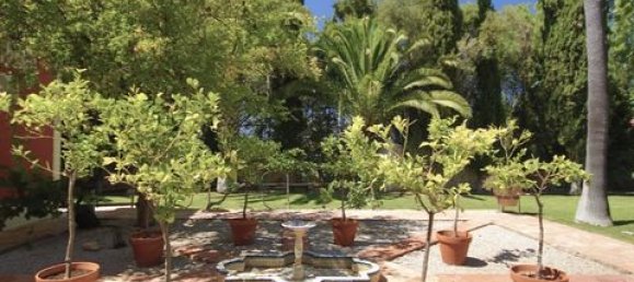 5 Schlafzimmer Villa in Almancil, Portugal, Nr. 150953 7