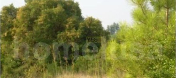 Terrain à Figueira da Foz, Portugal 2008m² No. 29051 4