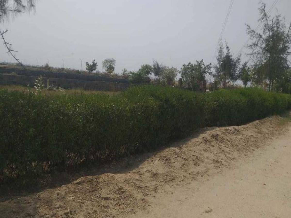  Land in Noida, India No. 65739