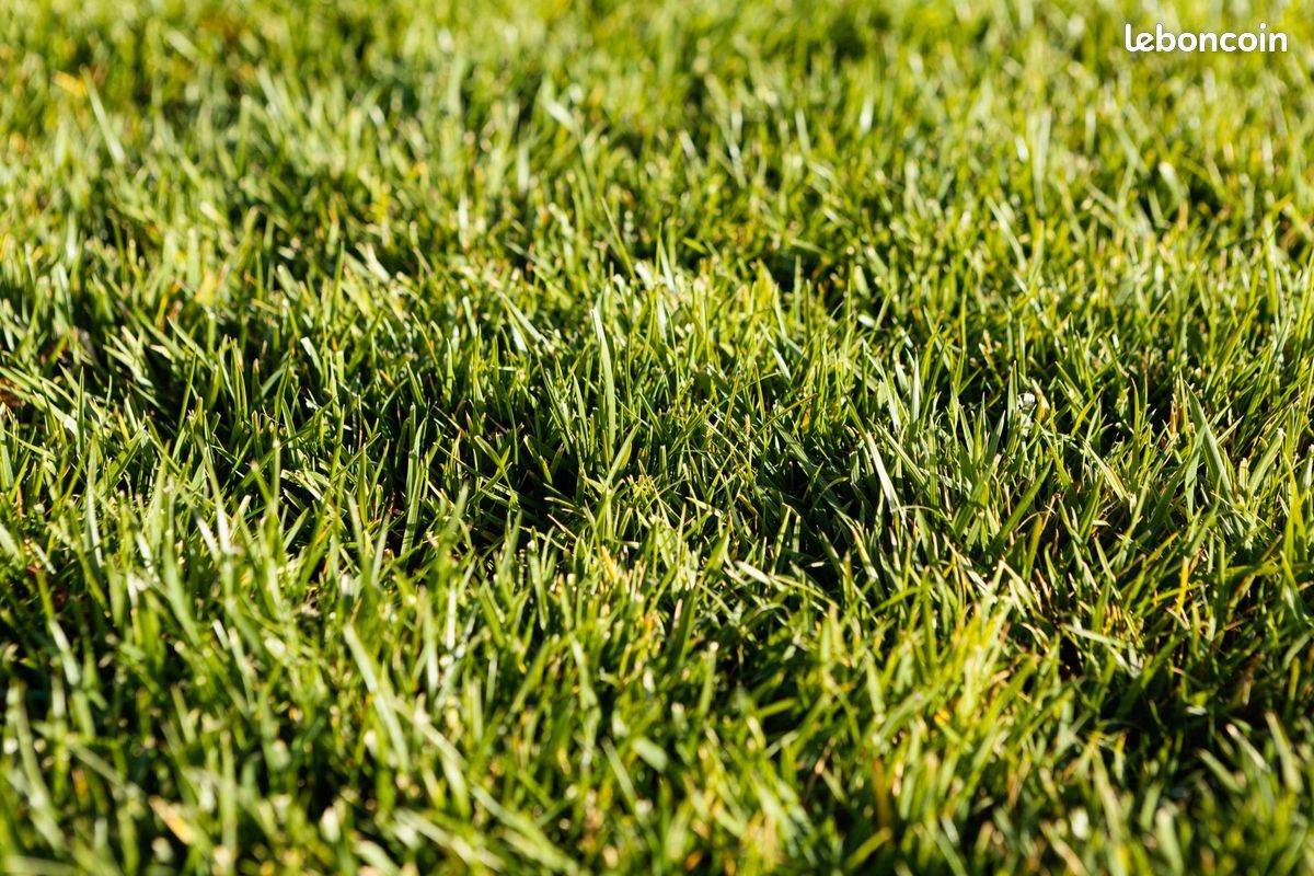 Grundstück in Saint-Pierre-des-Corps, France 500m², Nr. 209199