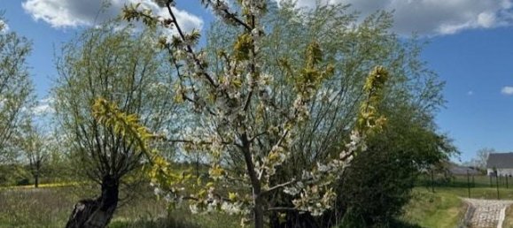 3 غرف نوم منزل في Rostock, Germany رقم 166392 4