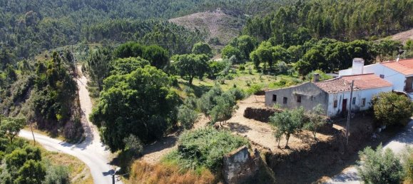 2 bedrooms House in Figueiro dos Vinhos, Portugal No. 186568 9