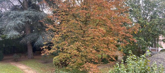 4 bedrooms Apartment in Orleans, France No. 41914 2