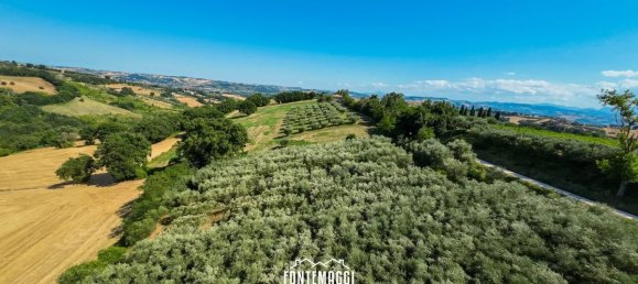 5 bedrooms Apartment in Colli al Metauro, Italy No. 267240 40